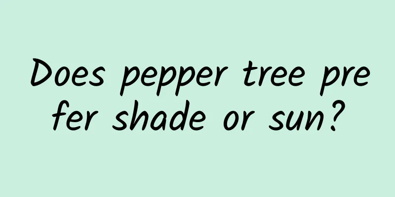 Does pepper tree prefer shade or sun?