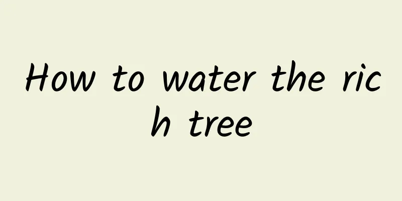 How to water the rich tree