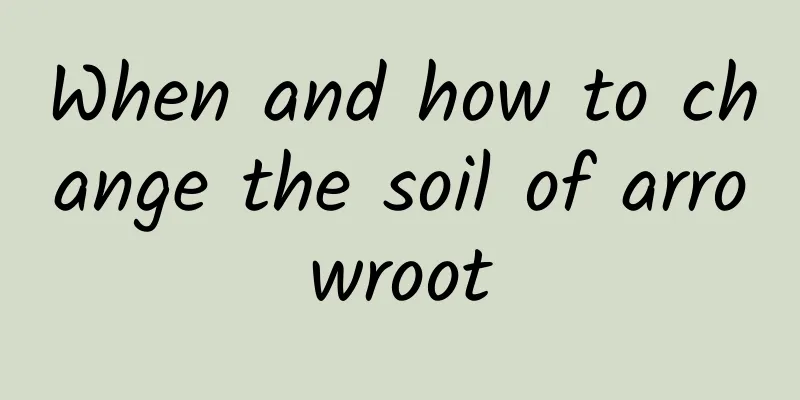 When and how to change the soil of arrowroot
