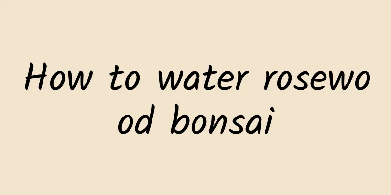 How to water rosewood bonsai