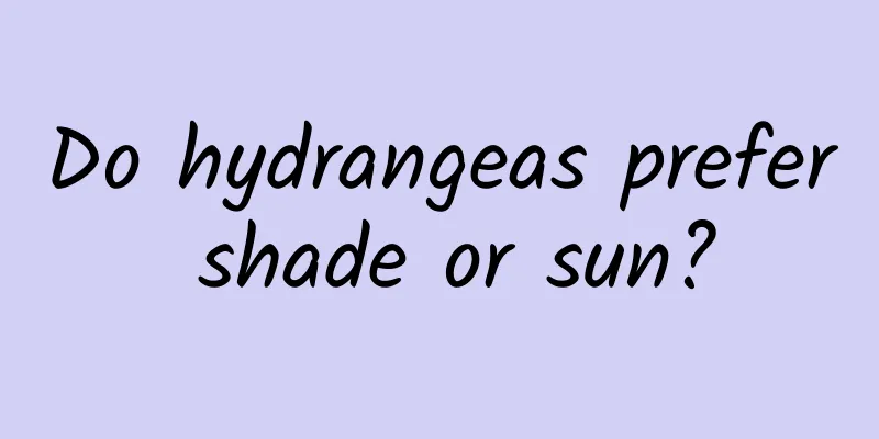 Do hydrangeas prefer shade or sun?