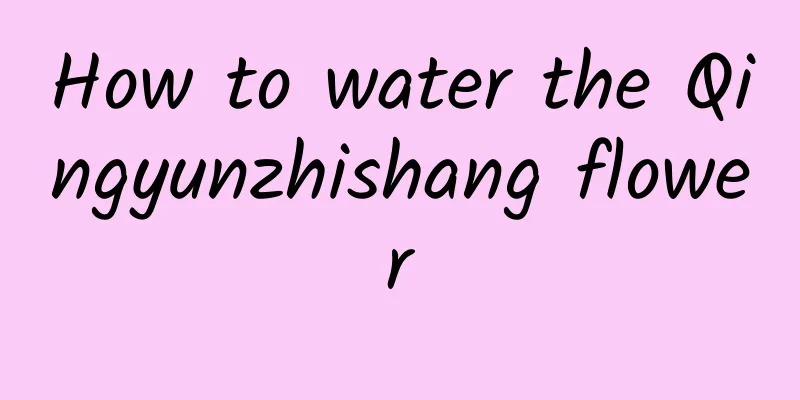 How to water the Qingyunzhishang flower