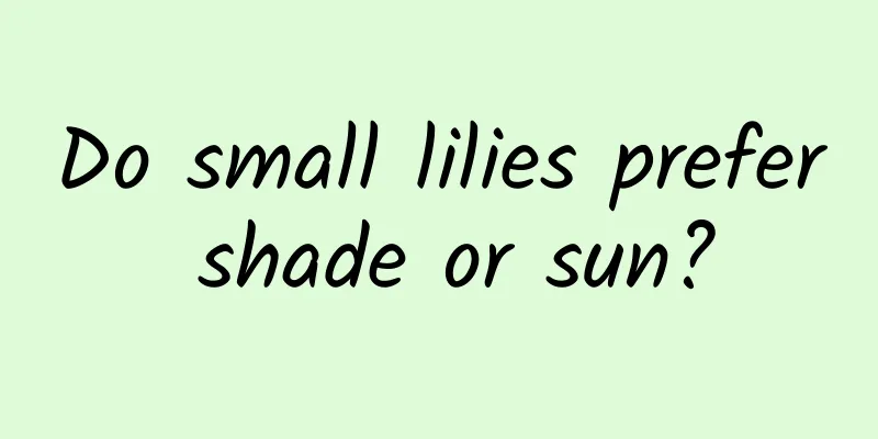 Do small lilies prefer shade or sun?
