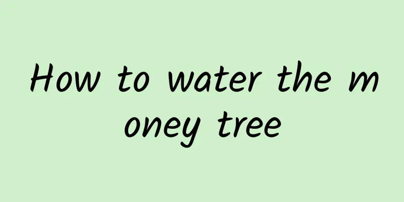 How to water the money tree