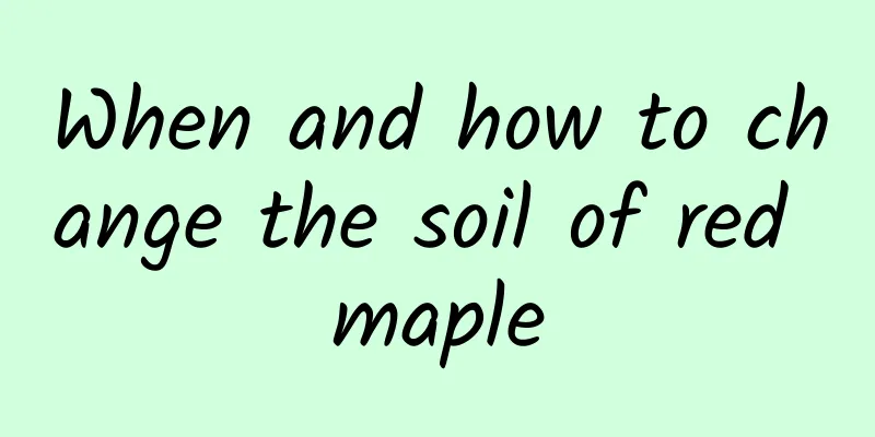 When and how to change the soil of red maple