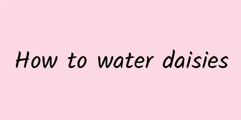 How to water daisies