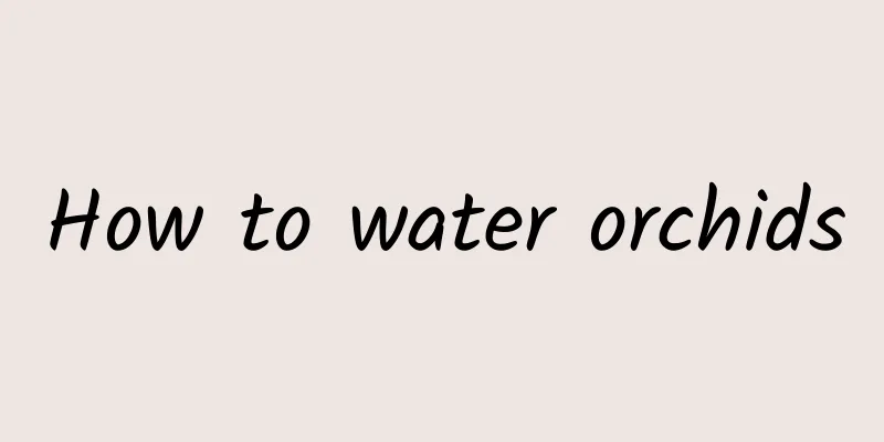 How to water orchids