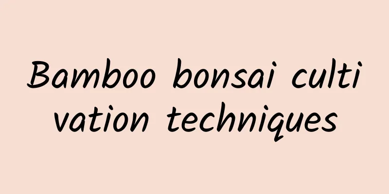 Bamboo bonsai cultivation techniques