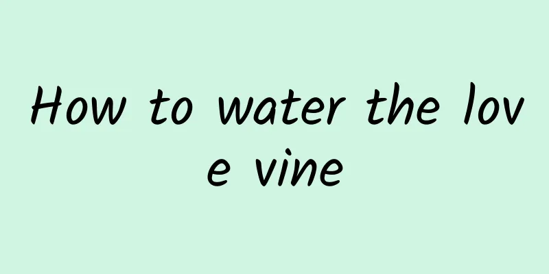 How to water the love vine