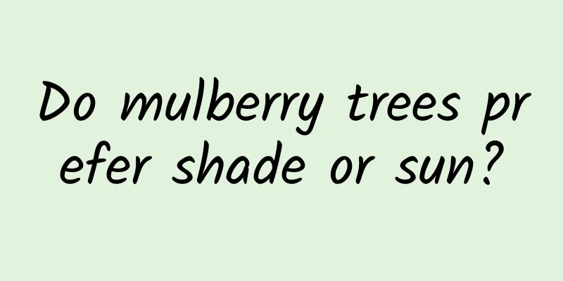 Do mulberry trees prefer shade or sun?