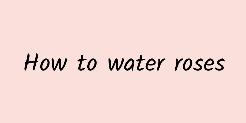 How to water roses