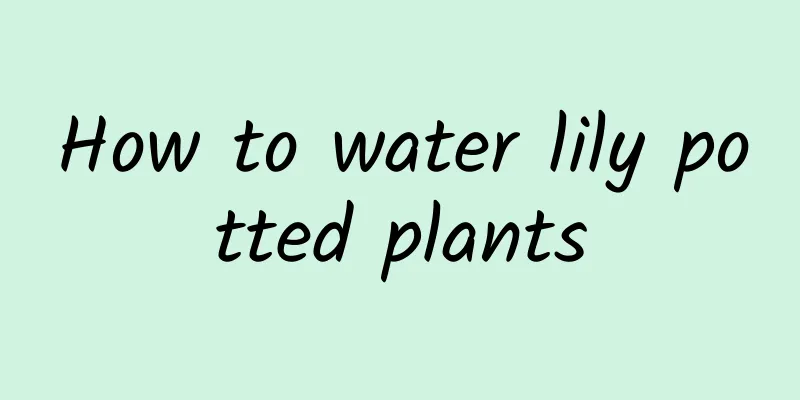 How to water lily potted plants