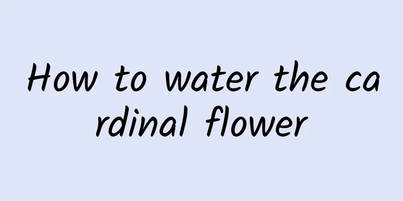 How to water the cardinal flower
