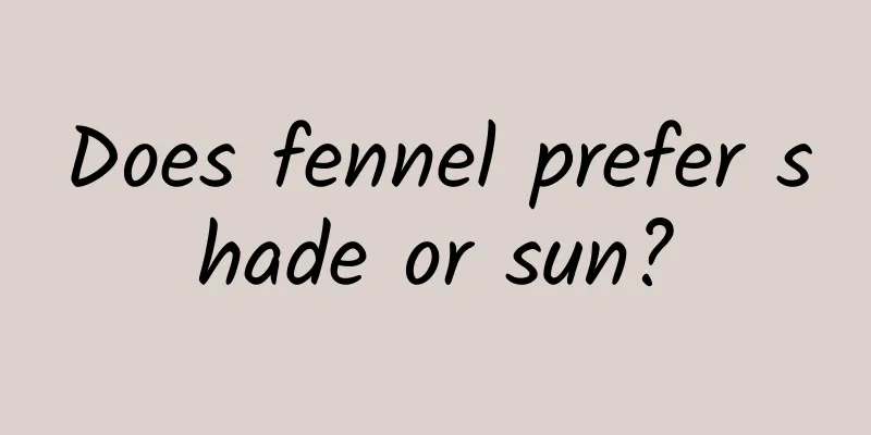 Does fennel prefer shade or sun?