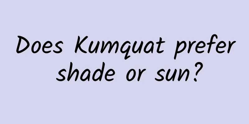 Does Kumquat prefer shade or sun?