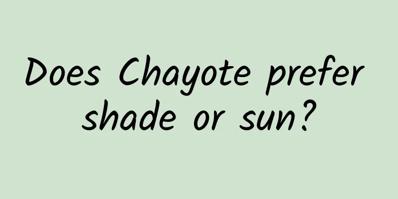 Does Chayote prefer shade or sun?