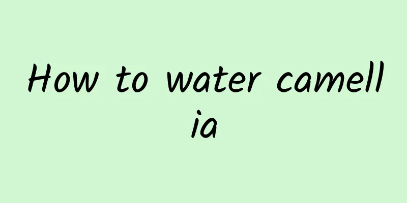 How to water camellia