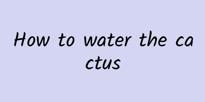 How to water the cactus
