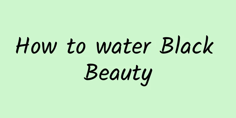 How to water Black Beauty