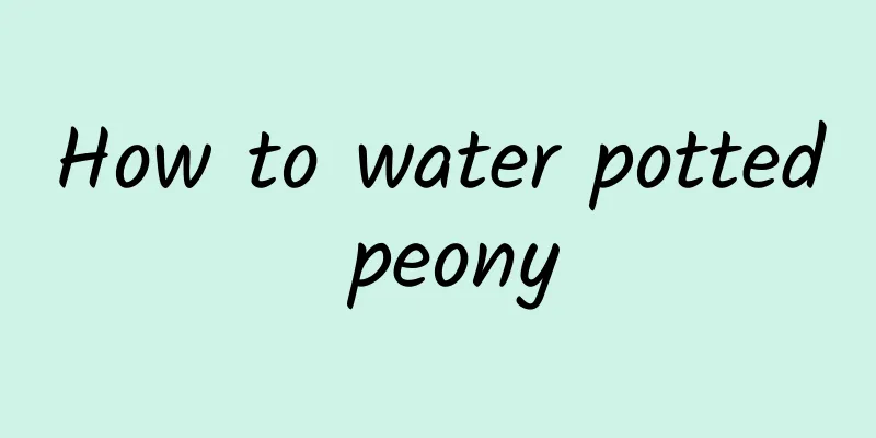 How to water potted peony