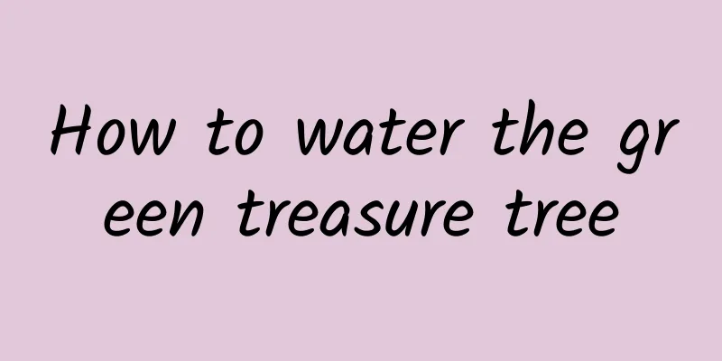 How to water the green treasure tree
