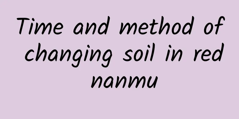 Time and method of changing soil in red nanmu