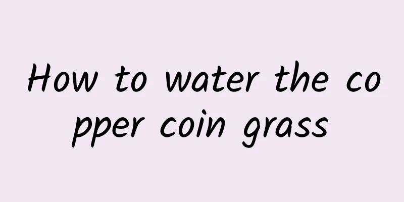 How to water the copper coin grass
