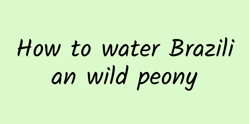 How to water Brazilian wild peony