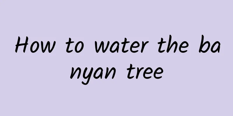 How to water the banyan tree