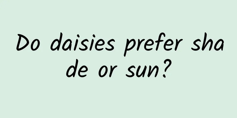 Do daisies prefer shade or sun?