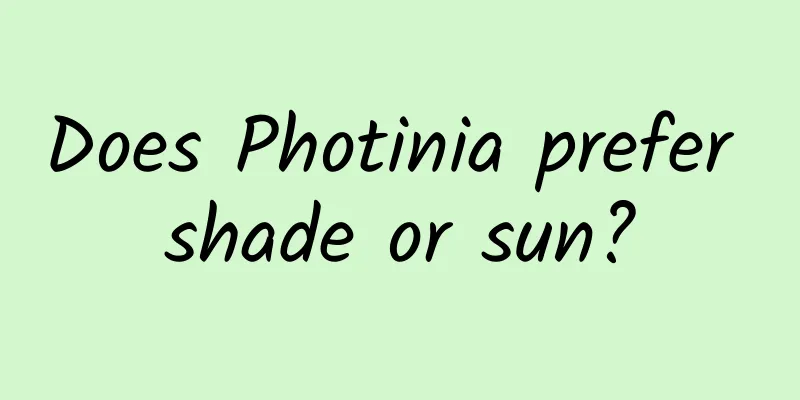 Does Photinia prefer shade or sun?