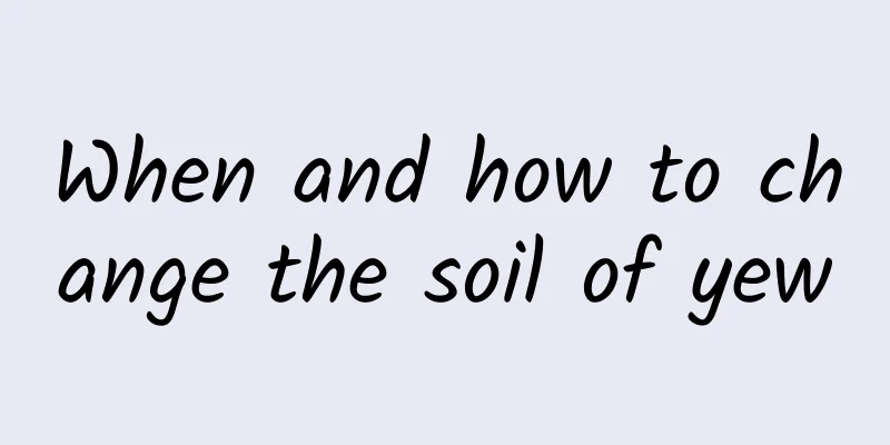 When and how to change the soil of yew