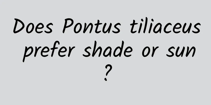 Does Pontus tiliaceus prefer shade or sun?