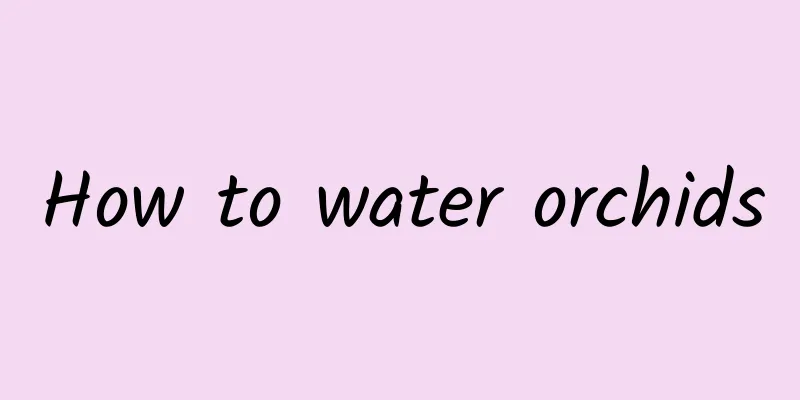 How to water orchids