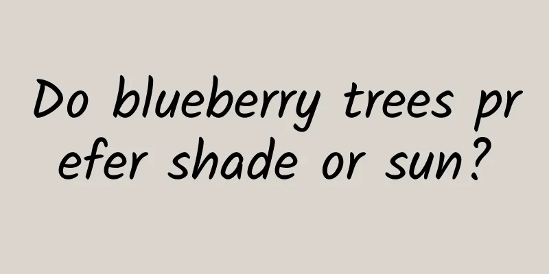 Do blueberry trees prefer shade or sun?
