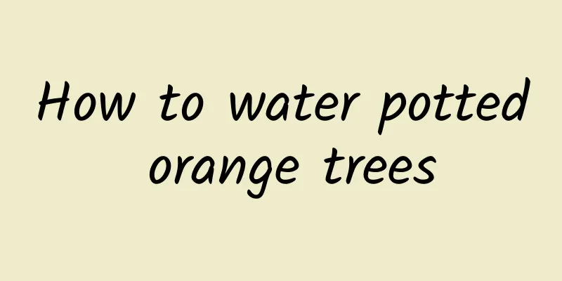 How to water potted orange trees