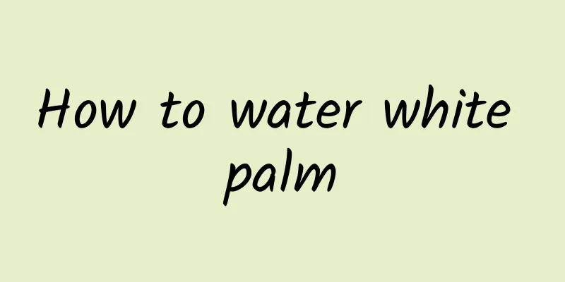 How to water white palm
