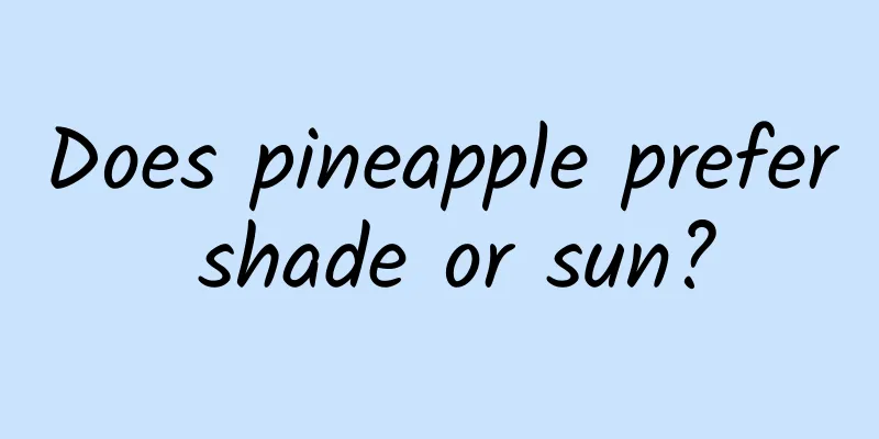Does pineapple prefer shade or sun?