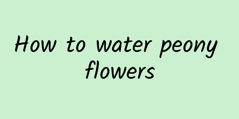 How to water peony flowers