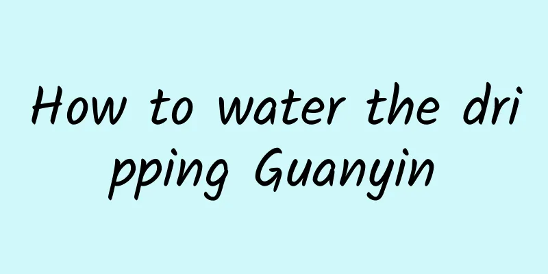 How to water the dripping Guanyin