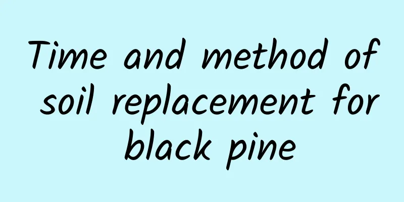 Time and method of soil replacement for black pine