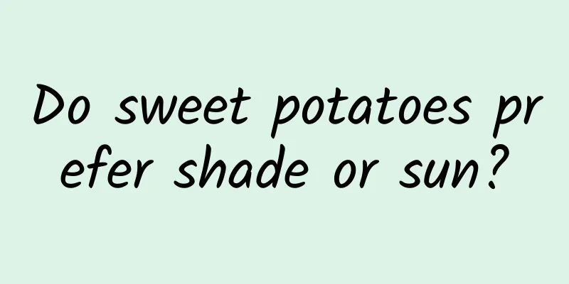 Do sweet potatoes prefer shade or sun?