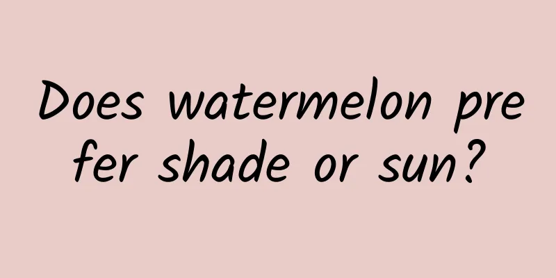 Does watermelon prefer shade or sun?