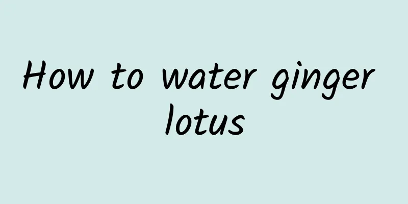 How to water ginger lotus