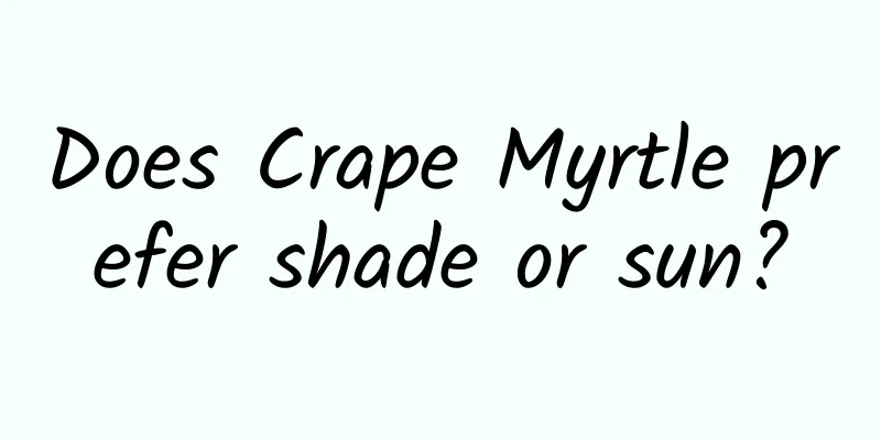 Does Crape Myrtle prefer shade or sun?