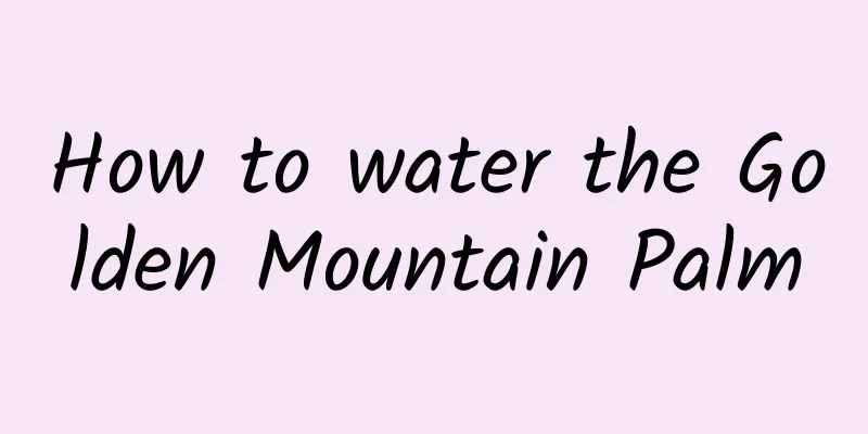 How to water the Golden Mountain Palm