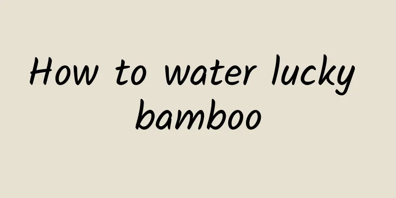 How to water lucky bamboo