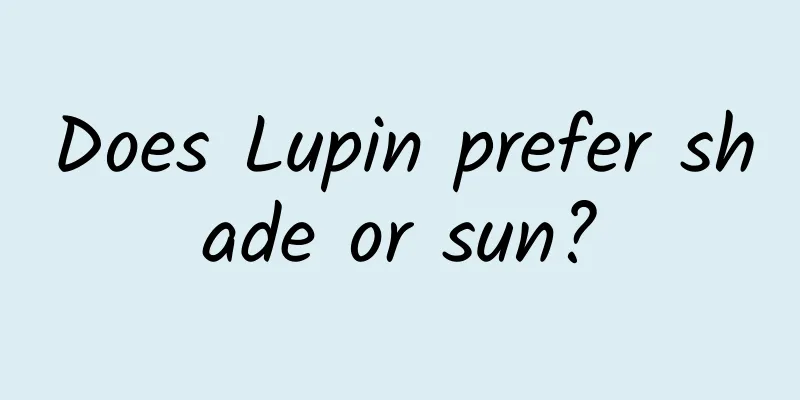 Does Lupin prefer shade or sun?