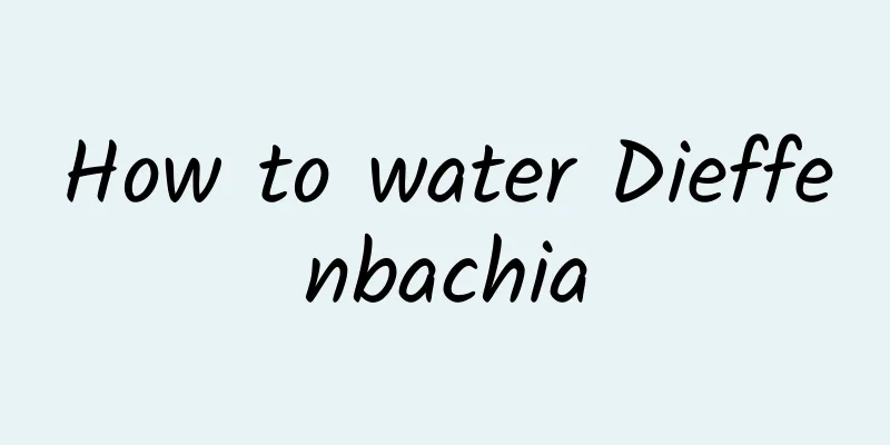 How to water Dieffenbachia