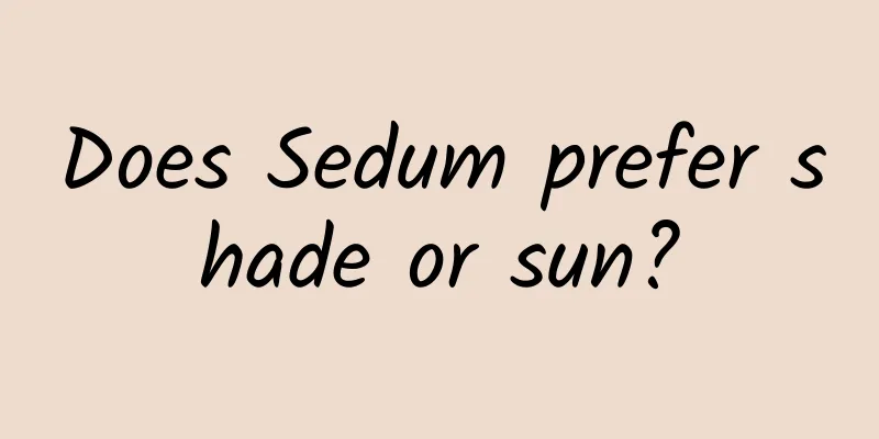 Does Sedum prefer shade or sun?
